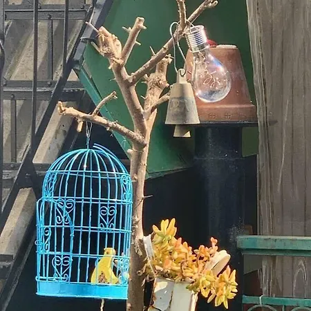 Urban Seaside Oasis - Adriana's Garden Paradise * Faraí