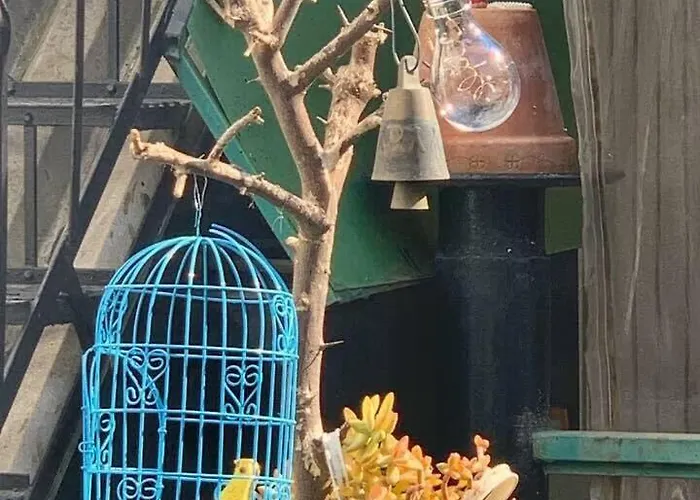 Urban Seaside Oasis - Adriana's Garden Paradise * Faraí